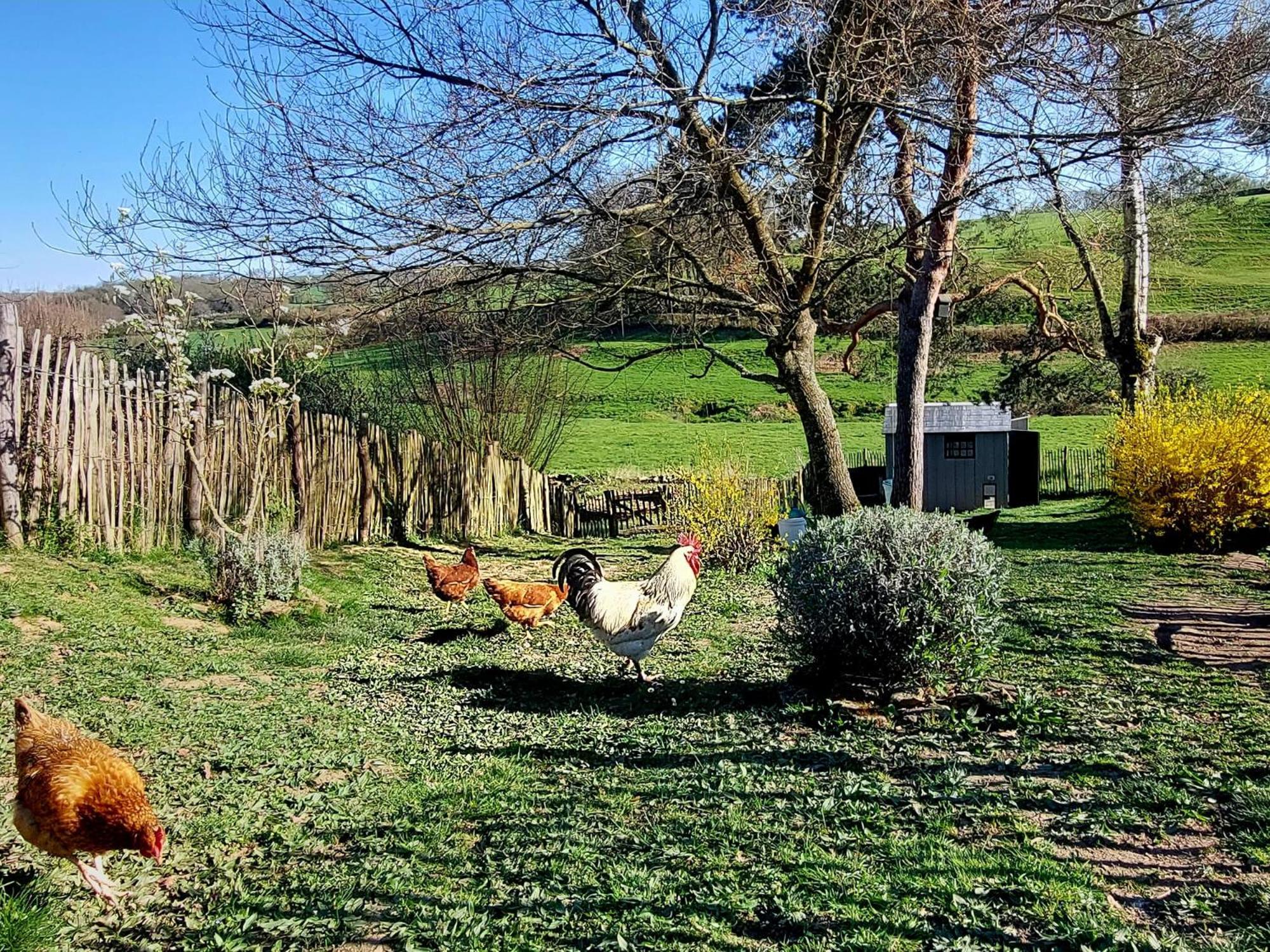 Maison Du Grand Moulin Ferienhaus Saint-Aubin-en-Charollais