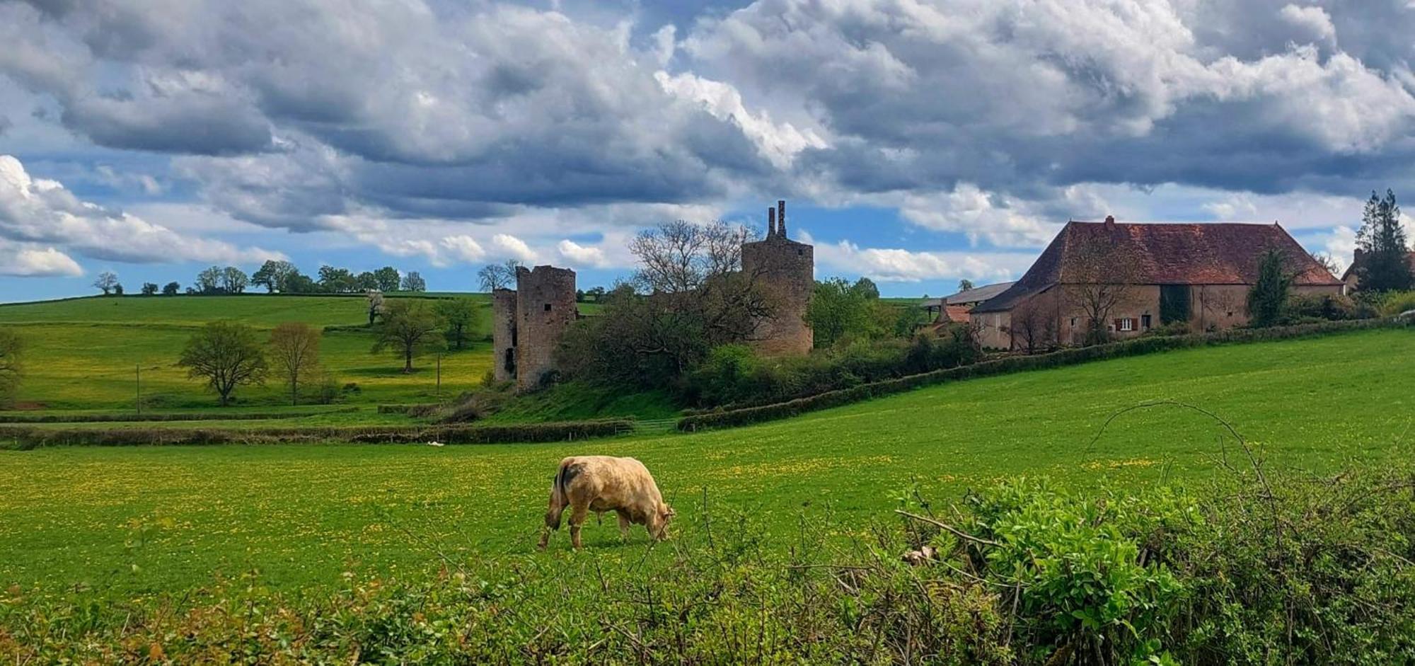 Ferienhaus Maison Du Grand Moulin Saint-Aubin-en-Charollais